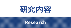 研究内容